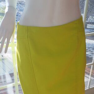 NWT Ann Taylor pencil skirt